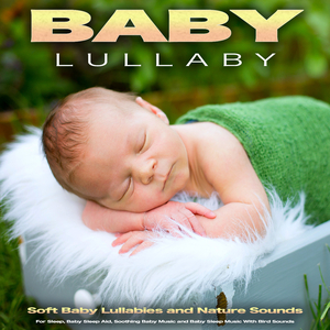 Baby Lullaby