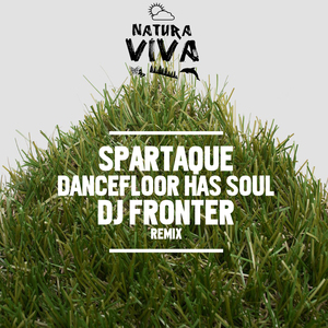 Vespiary (DJ Fronter Remix)