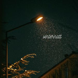 Vinternatt