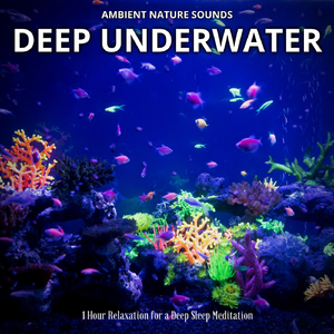 Relaxing Gentle Water Meditation