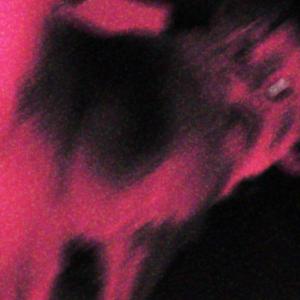 DEPRESSION (PULL THAT TRIGGER)
