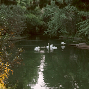 春和景明是一场幻觉