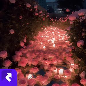 夏之花(prod By多芬)