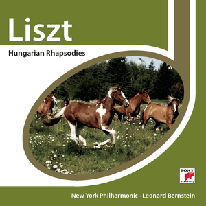 6 Hungarian Rhapsodies, S. 359:No. 4 in D Minor