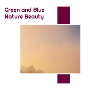 Soothing Rain At Palm Garden