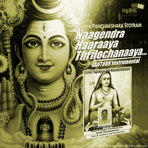 Naagendra Haaraaya Thrilochanaaya (Santoor Instrumental)