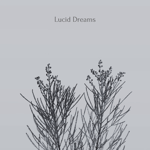 Lucid Dreams