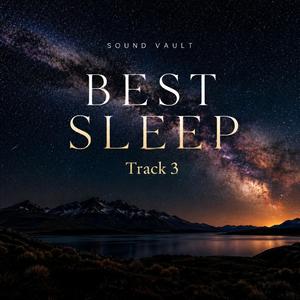Track 3