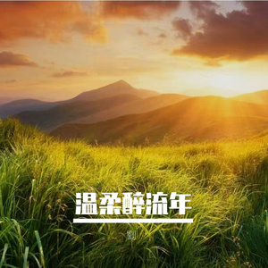 温柔醉流年
