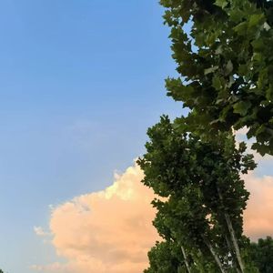 裂痕（prod.by 白昼星BZX）