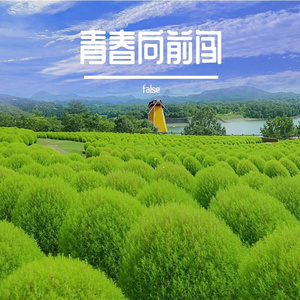勇敢破迷雾