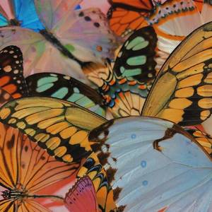 你是我的温柔（翻自 刘德华）