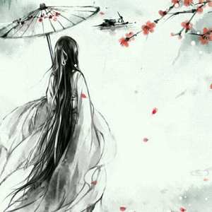 风花雪月（Cover 林斜阳 / 紫堂宿）