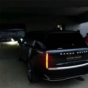 那天我听人说思念像风