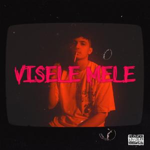 Visele Mele (feat. Ares)