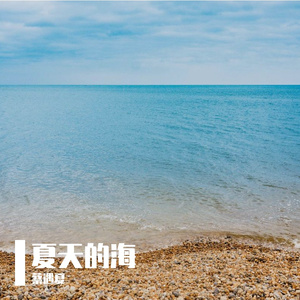 夏天的海