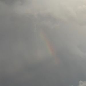 你脸上的星星 我眼中的风景