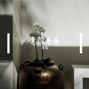 我在昨天的梦里又看见了你