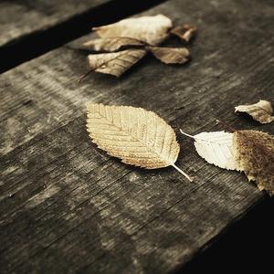 欢沁（原曲：欢沁 林海）