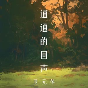 通通的回声
