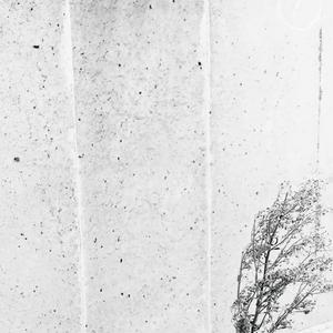 Cairo Circuit (Single Edit)