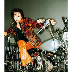 WISH... (Instrumental)