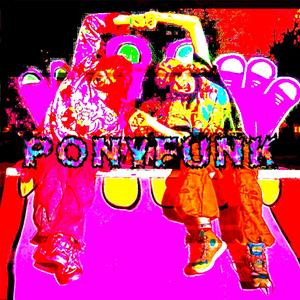 PONYFUNK (feat. plasmic)
