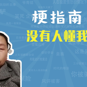 没有人懂我是什么梗【梗指南】