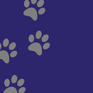 Musica para Relaxar Cachorro