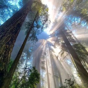 :( :( :) (Prod EVOMUSIC )