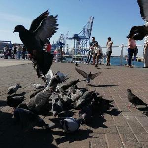 LookedatHerFore-Tears of The Sun（北欢 remix）