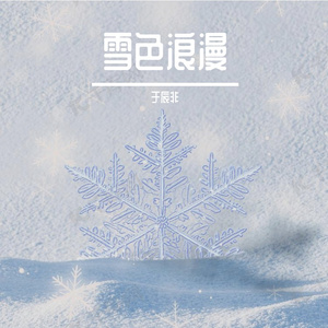 碎雪独白