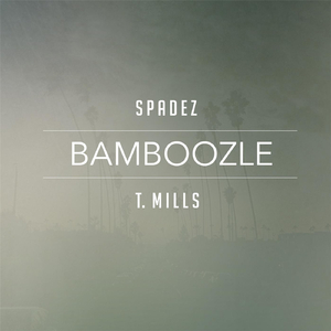 Bamboozle (feat. T. Mills)