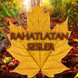 Rahatlatıcı Kuş Sesleri