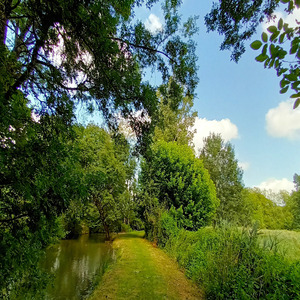 A union profound, serene and deep by the sea