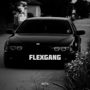 FLEXGANG
