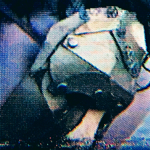 Memory (A Stray Transmission)