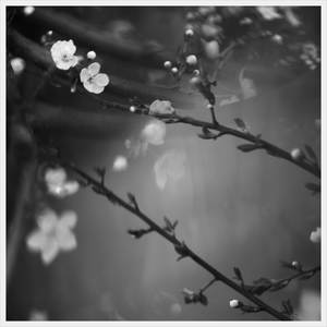 i felt a bit anxious today - 260407