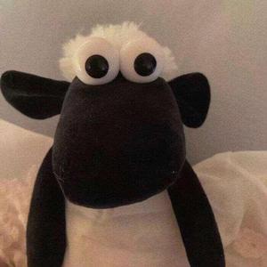 History (Cover Rich Brian)（翻自 Rich Brian）