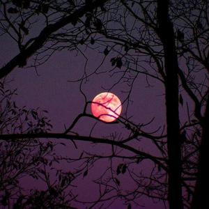 Marbles (feat. Yung Scuff)