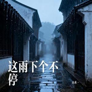 这雨下个不停