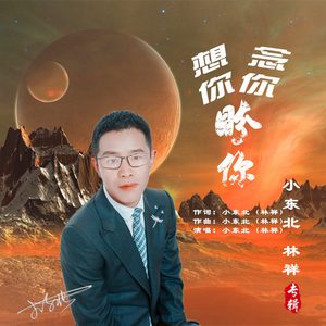 想你念你盼你 (原唱)