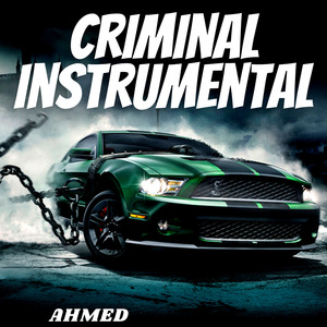 Criminal Instrumental Turkish