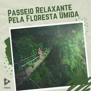 Adiar com a Agua da Chuva