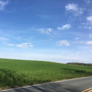 Open Fields