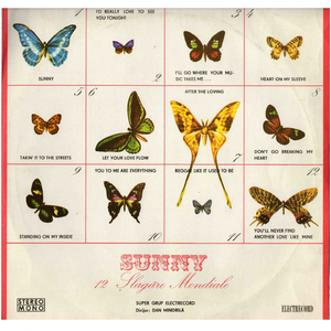 You'Ll Never Find Another Love Like Mine