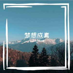 梦想成真
