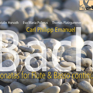 Flute Sonata in G Major, Wq. 123: I. Andante