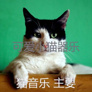 微妙的猫心情