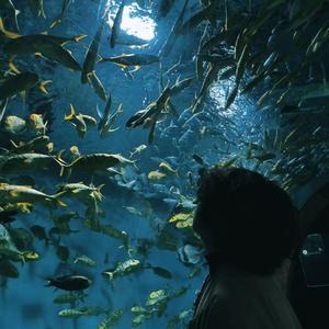 处女座不相信眼泪（Prod By Ray x Monstereal x Shingo）